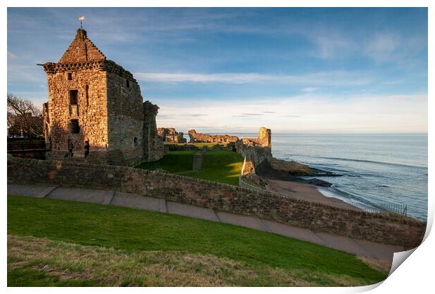 St Andrews Castle Print by Steve Smith