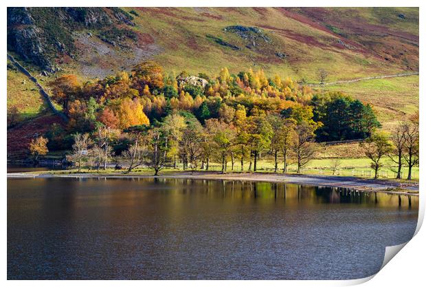 Autumn In Buttermere Print by Steve Smith