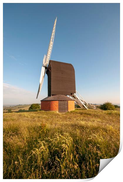 Majestic Brill Windmill Print by Steve Smith