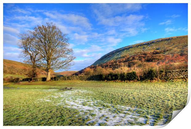 Muker Meadows Print by Steve Smith