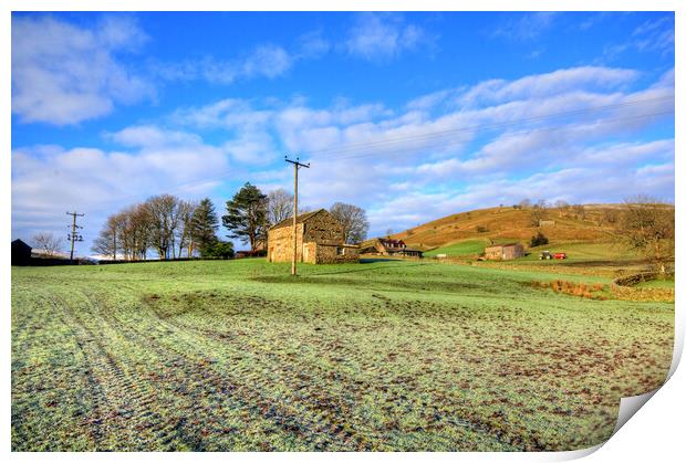 Muker Meadows Print by Steve Smith