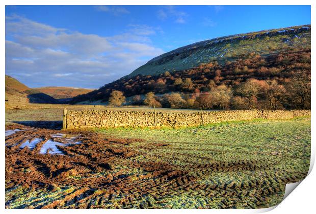 Muker Meadows Print by Steve Smith