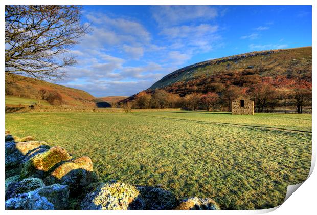 Muker Meadows Print by Steve Smith