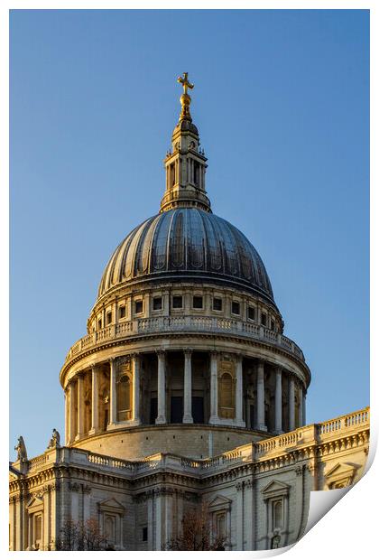 St Paul's Cathedral Print by Steve Smith
