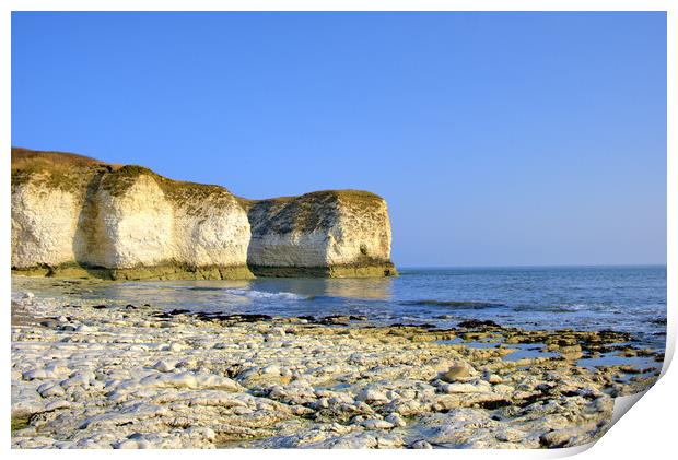 A Serene Morning at Selwicks Bay Print by Steve Smith