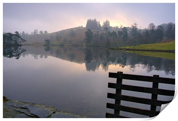 Tarn Hows Lake District Print by Steve Smith