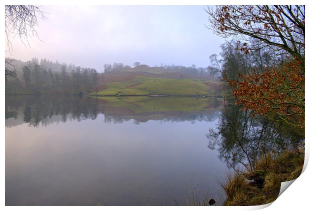 Tarn Hows Lake District Print by Steve Smith