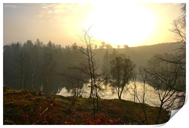 Serene Sunrise Over Tarn Hows Print by Steve Smith