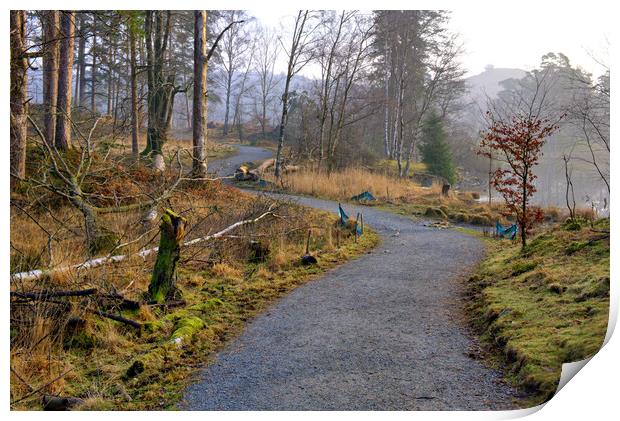 Tarn Hows Lake District Print by Steve Smith