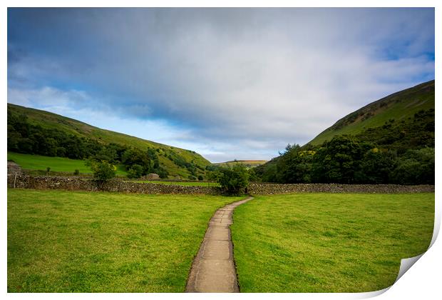 Muker Meadows Print by Steve Smith