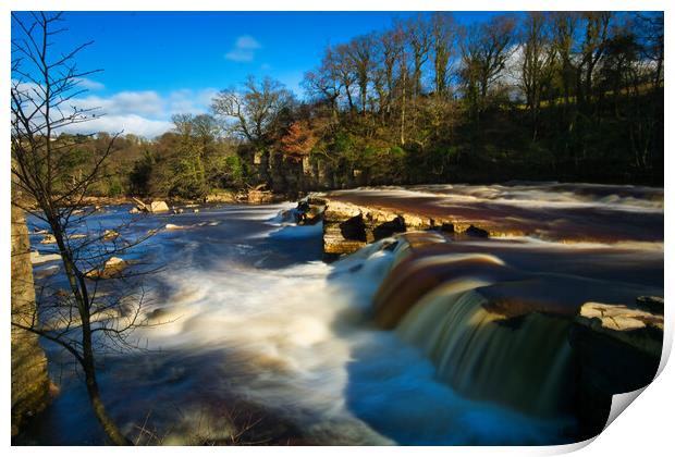 Richmond Falls Print by Steve Smith