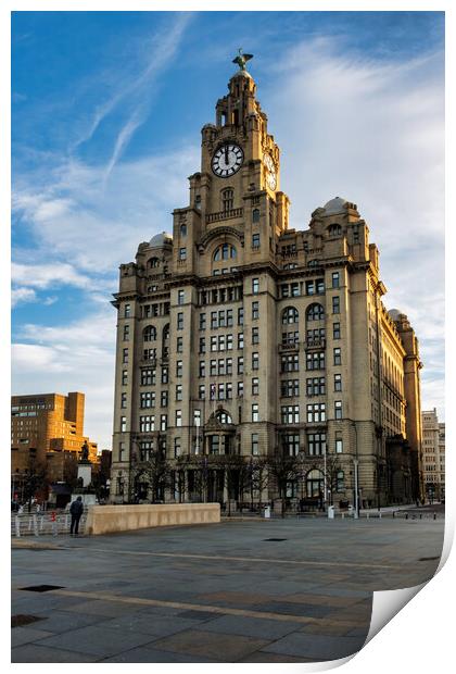 Liver Building Print by Steve Smith