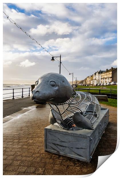 The Filey Seal Print by Steve Smith