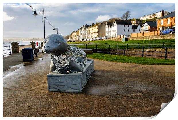The Playful Filey Seal Print by Steve Smith