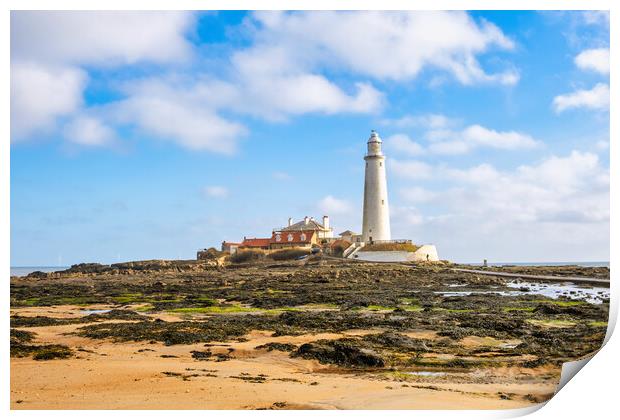 St Marys Lighthouse Print by Steve Smith