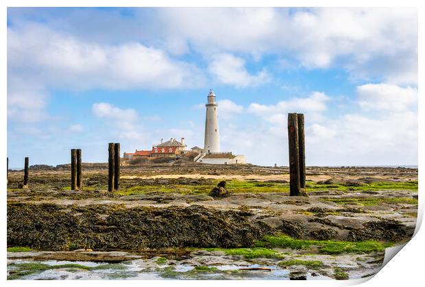 St Marys Lighthouse Print by Steve Smith