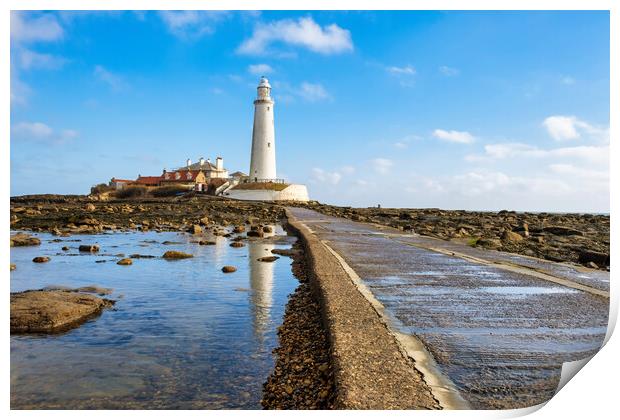 St Marys Lighthouse Print by Steve Smith