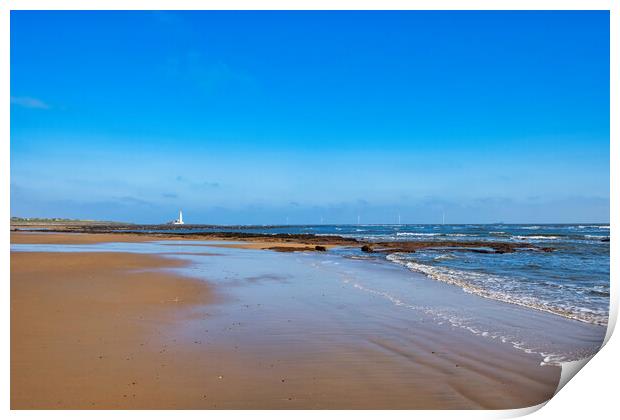 St Marys Lighthouse Print by Steve Smith