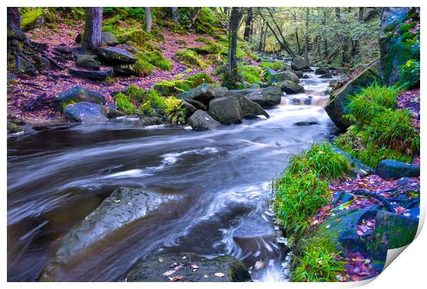 Padley Gorge Derbyshire Print by Steve Smith