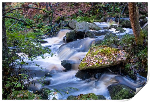 Padley Gorge Derbyshire Print by Steve Smith