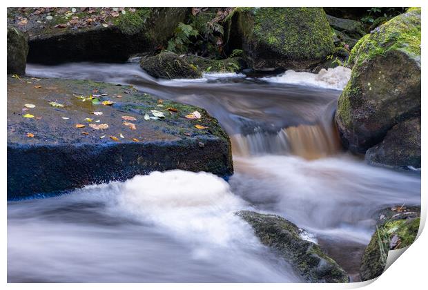 Padley Gorge Derbyshire Print by Steve Smith