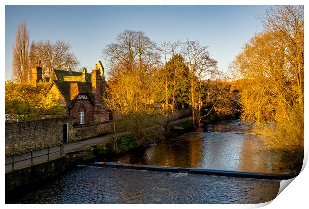The River Ure Ripon Print by Steve Smith