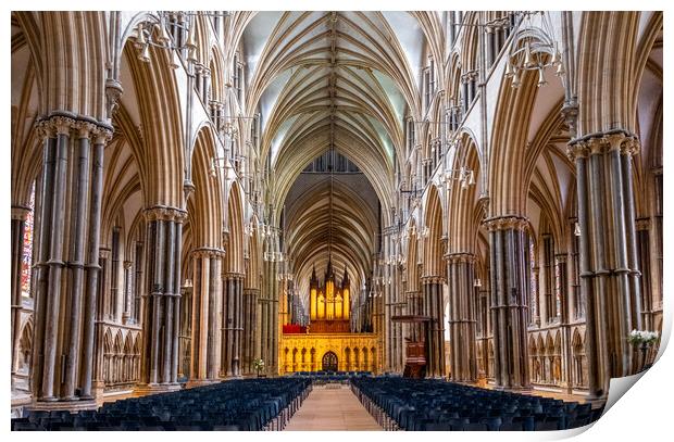 Lincoln Cathedral Print by Steve Smith