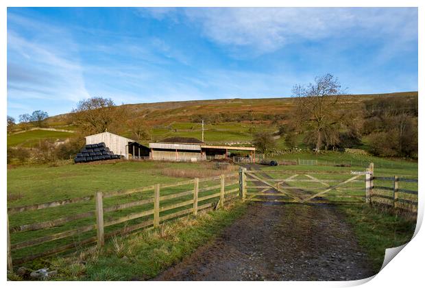 Arkengarthdale Print by Steve Smith