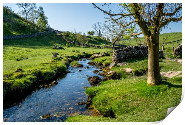 Malham Beck: Picturesque Stream in Yorkshire Print by Steve Smith