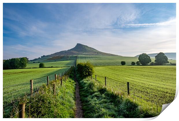 Discovering Roseberry's Natural Wonders Print by Steve Smith