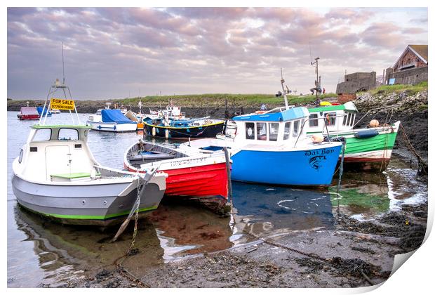 Coastal Delight: Paddy's Hole Harbour Print by Steve Smith