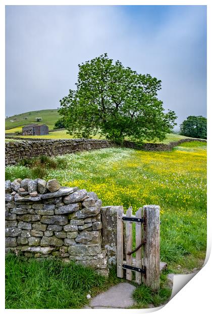 Meadows at Muker Print by Steve Smith