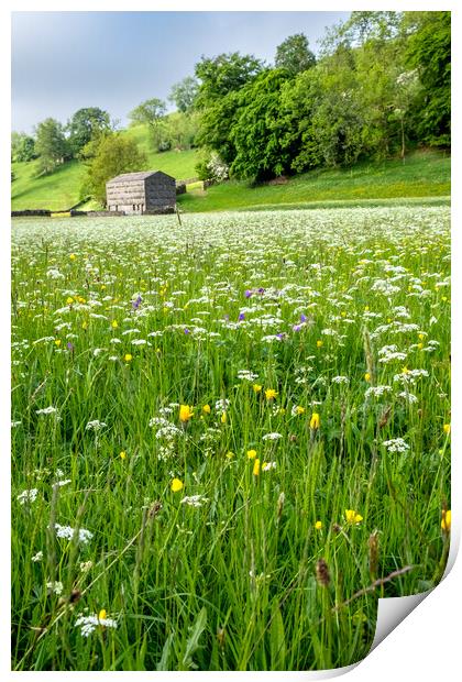 Wild Flowers At Muker Print by Steve Smith