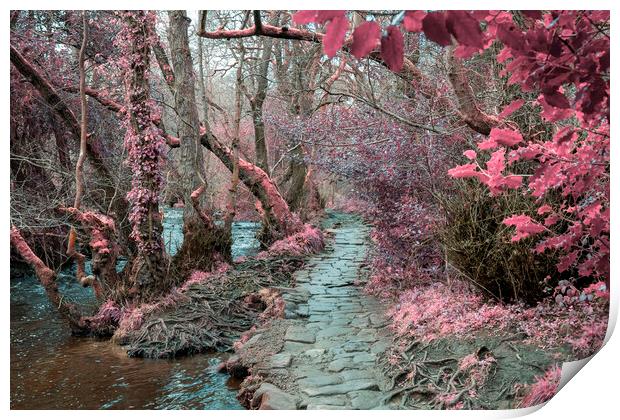 Rivelin Valley Infrared Print by Steve Smith