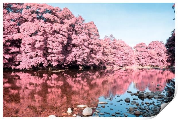 River Swale Richmond Infrared Print by Steve Smith