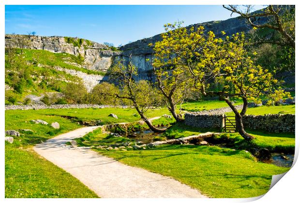 Malham Cove Print by Steve Smith