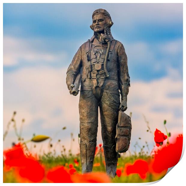 Honouring Our Wings RAF Hero Amidst Poppies Print by Steve Smith