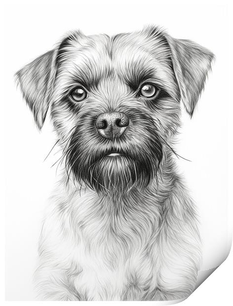 Pencil Drawing Border Terrier Print by Steve Smith