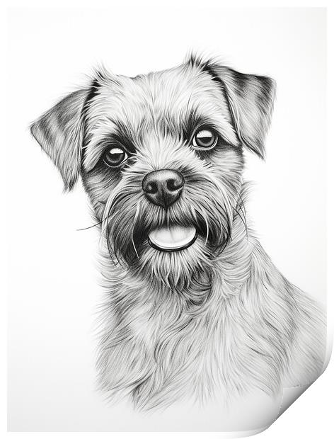 Pencil Drawing Border Terrier Print by Steve Smith