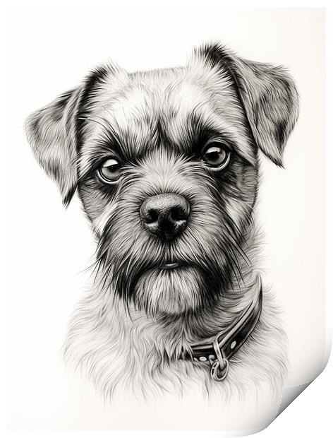 Pencil Drawing Border Terrier Print by Steve Smith