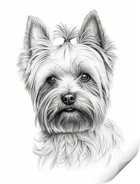 Pencil Drawing Yorkshire Terrier Print by Steve Smith
