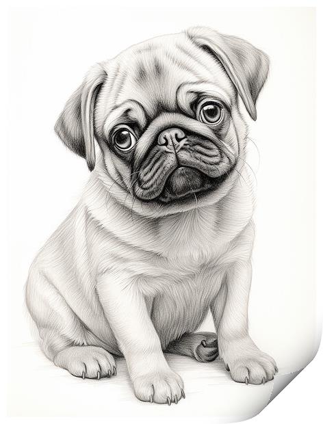 Pencil Drawing Pug Puppy Print by Steve Smith