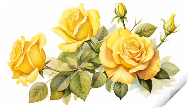 Watercolour Yellow Roses Print by Steve Smith