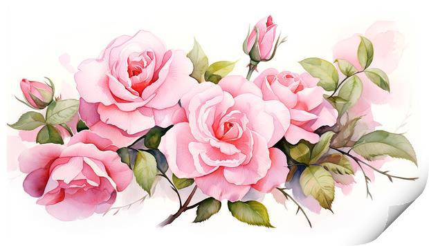Watercolour Pink Roses Print by Steve Smith