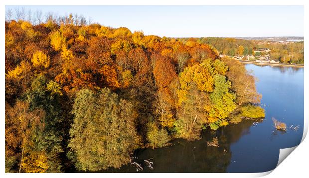 Newmillerdam Autumn Print by Steve Smith