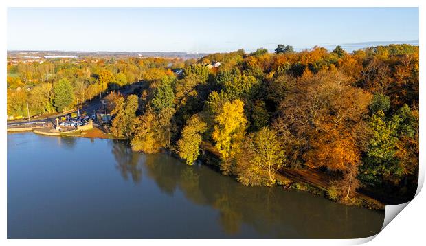 Newmillerdam Autumn Print by Steve Smith