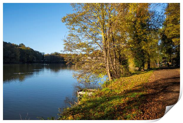 Newmillerdam Wakefield Print by Steve Smith