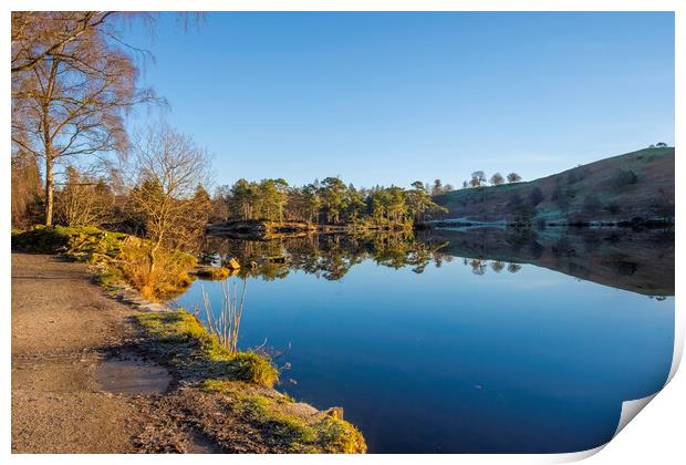 Tarns Hows Lake District Print by Steve Smith