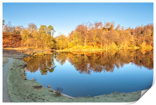 Tarns Hows Lake District Print by Steve Smith