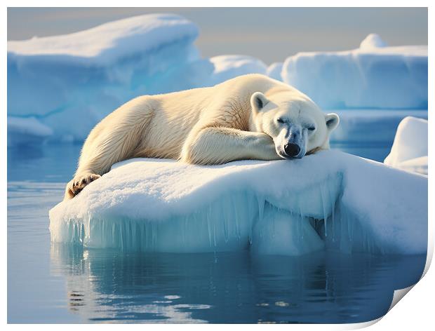 Sleeping Polar Bear Print by Steve Smith